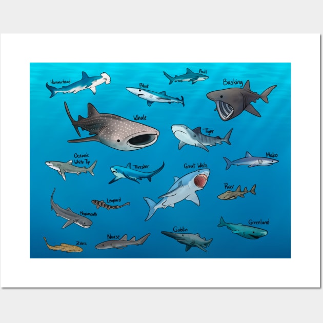 Shark Species Wall Art by jastinamor